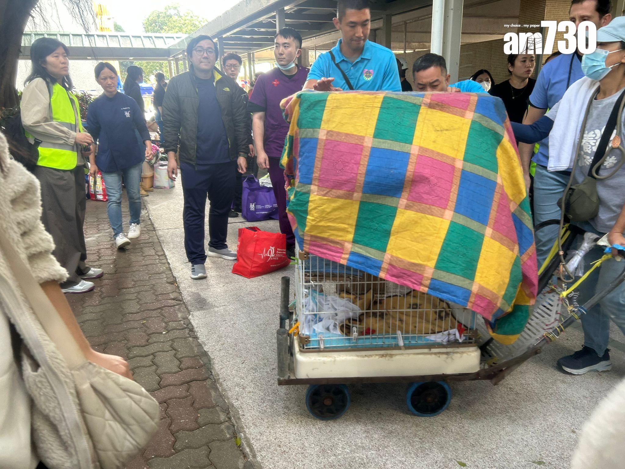 大埔宏福苑五級火|自願者整夜留守災場未言累,動物組織自發拯救動物。(朱慧恩 攝)