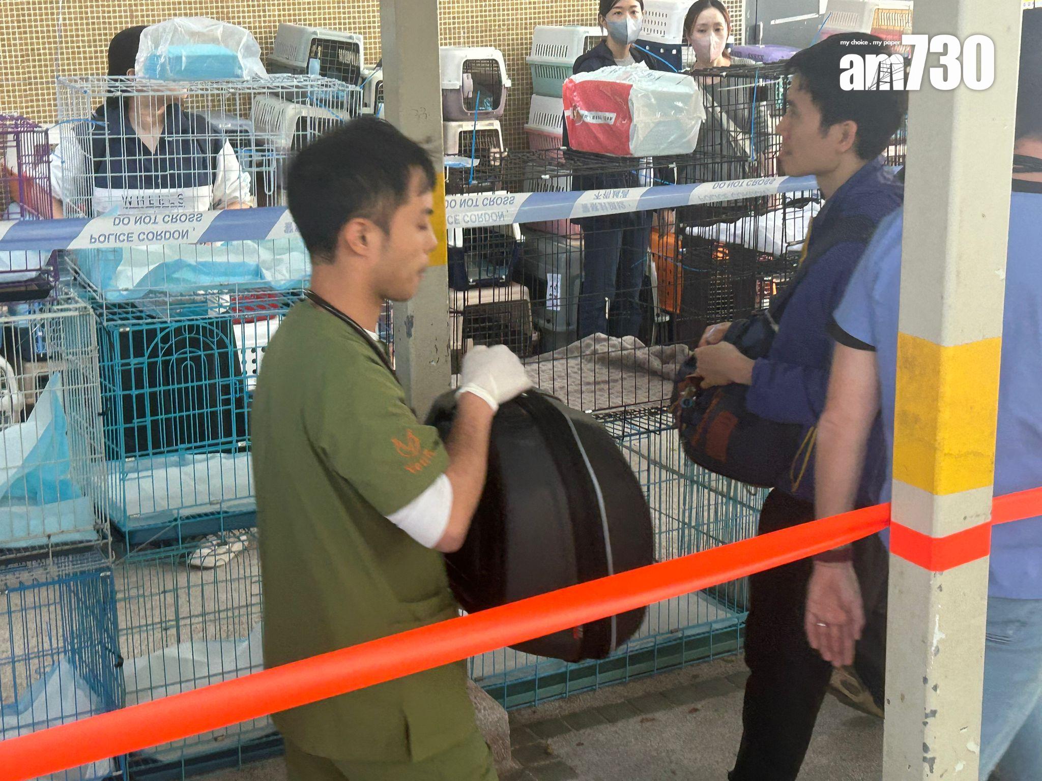 大埔宏福苑五級火,見救援人員連日來在火場救出多隻寵物。(朱慧恩攝)