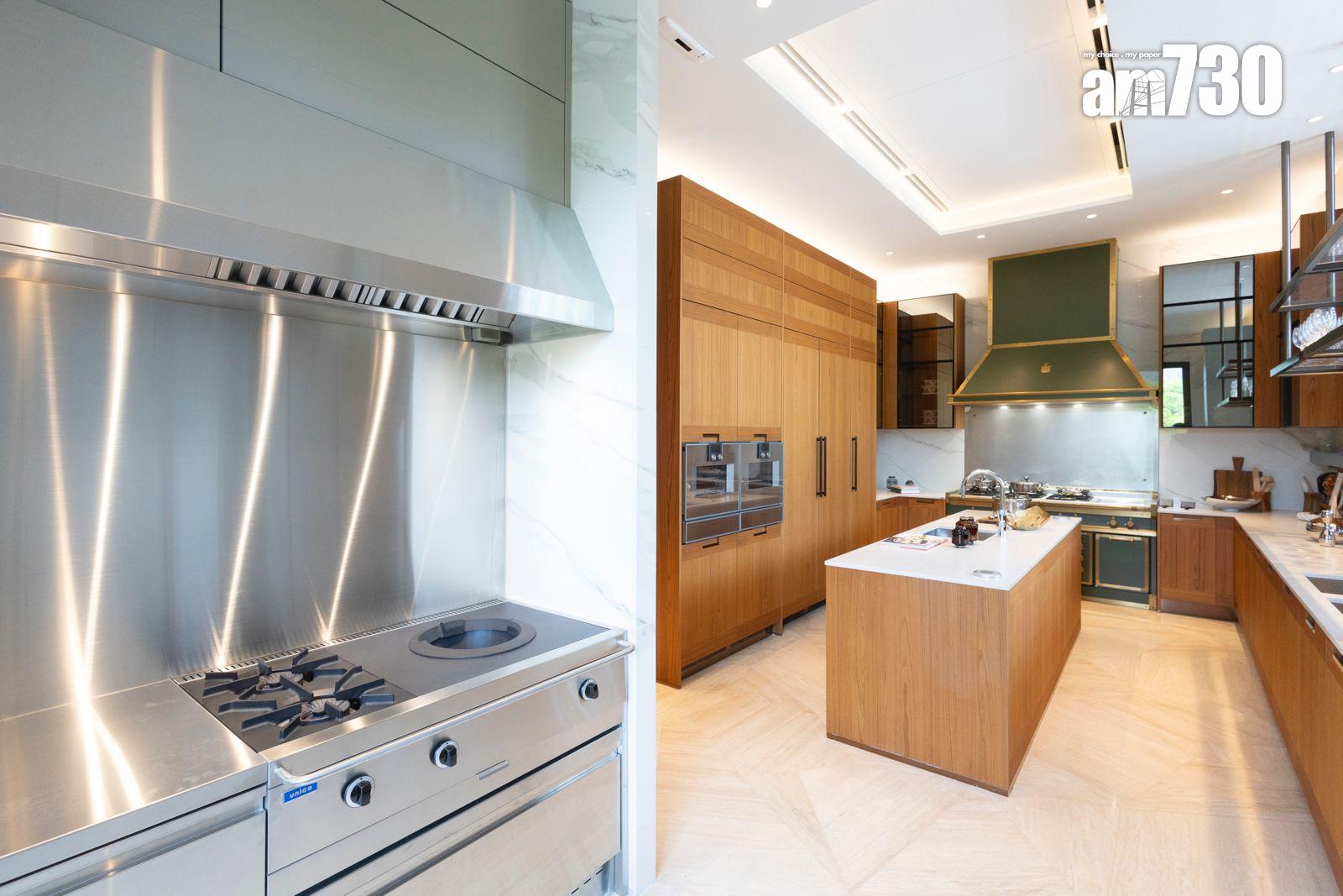 林海山城洋房|山城徑1號6268呎五房四套 山海園林中子母屋(多圖有片)|大埔新盤