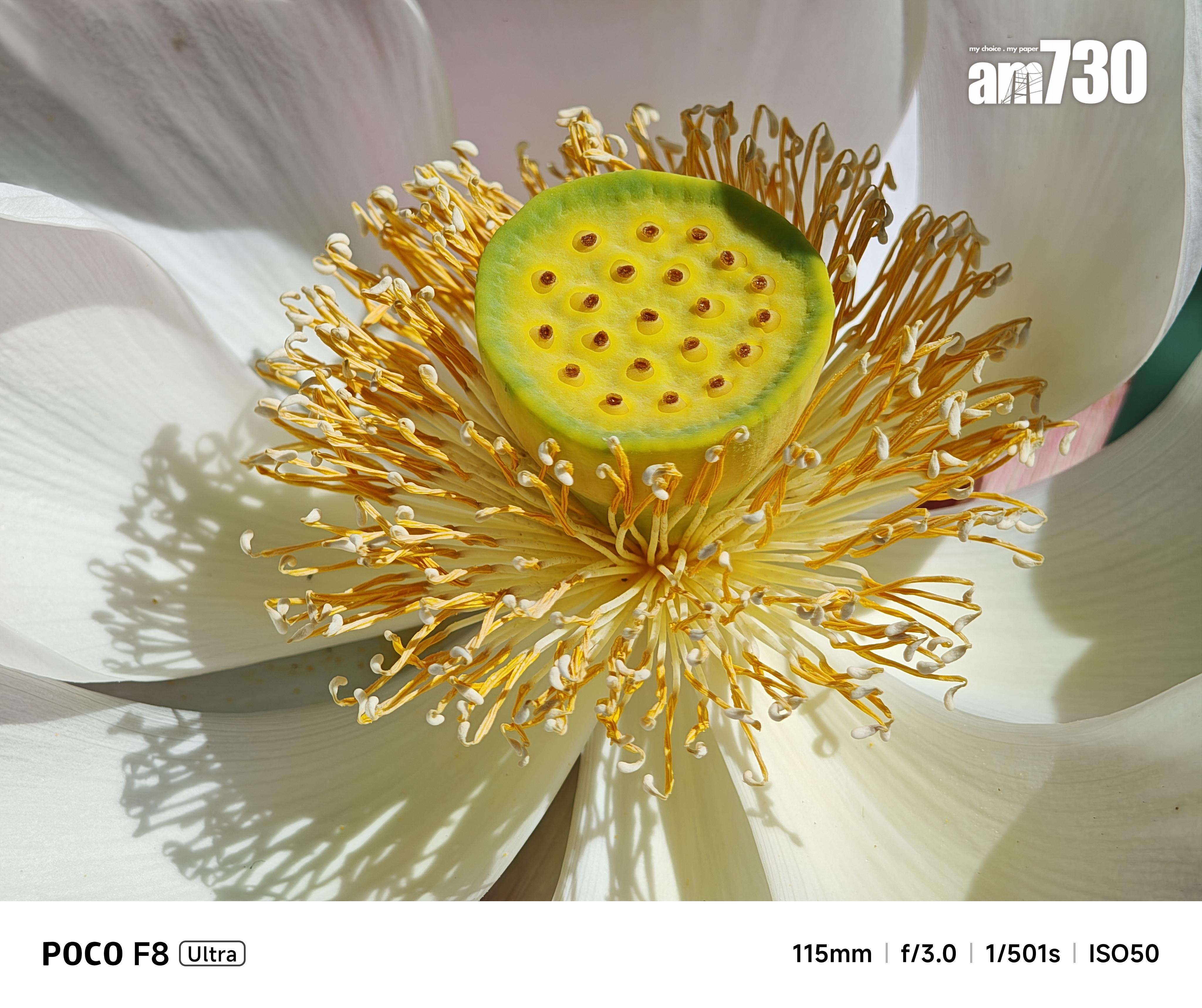 POCO F8 Ultra微距試相。