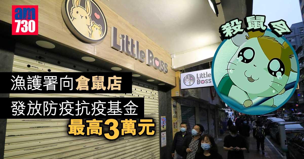 殺鼠令｜漁護署向倉鼠店發放防疫抗疫基金　最高3萬元