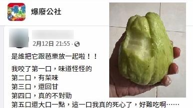 有台灣網民將合掌瓜當成番石榴生吃。(互聯網)