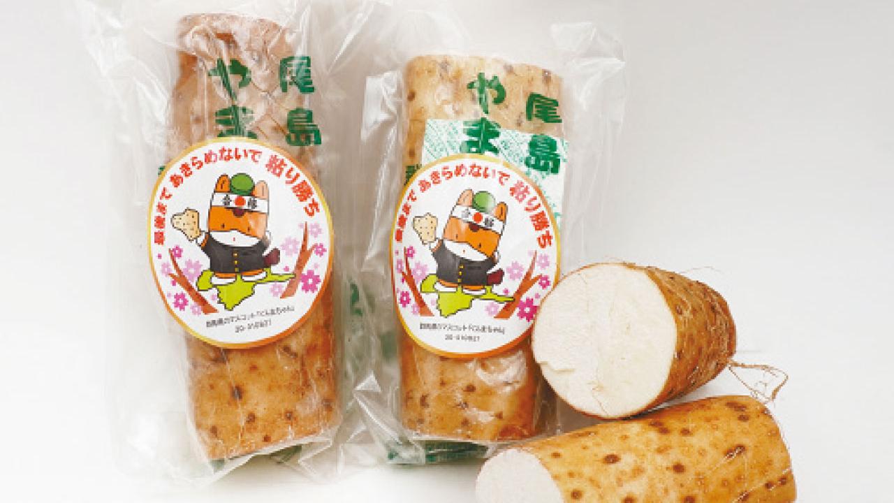 群馬縣大和芋快閃Aeon Uny