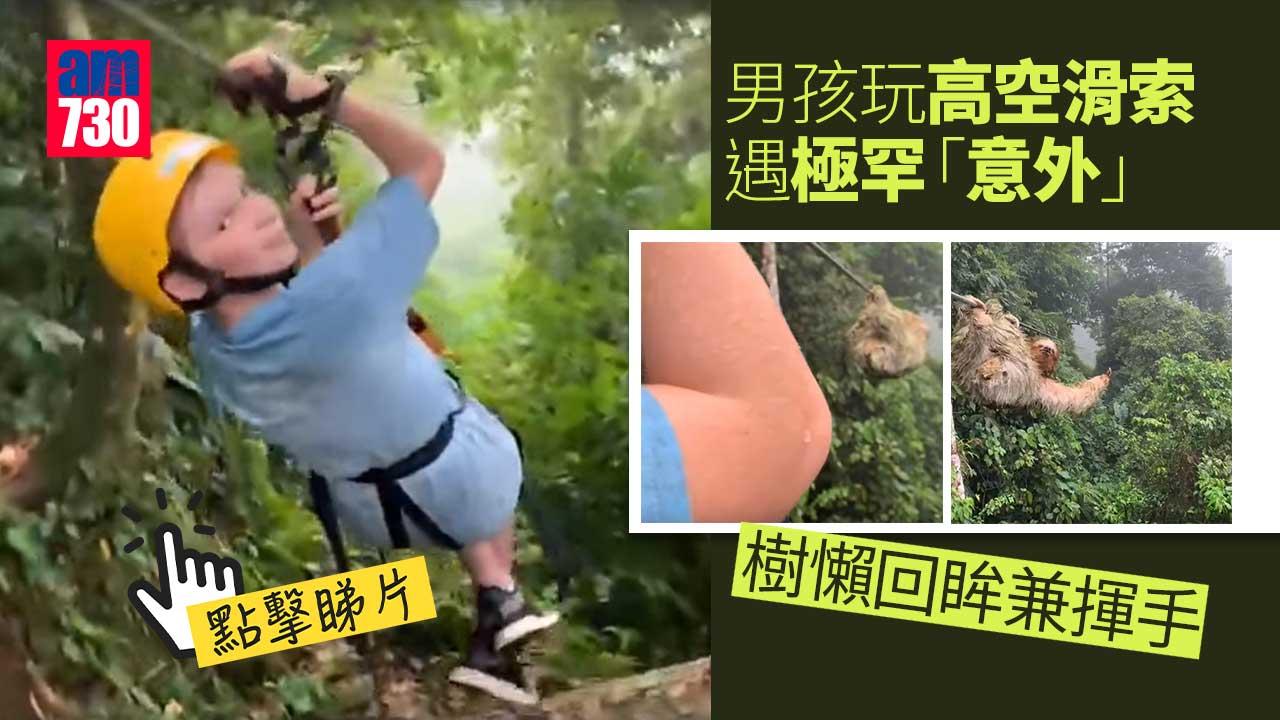 男孩玩高空滑索遇極罕「意外」　樹懶回眸兼揮手