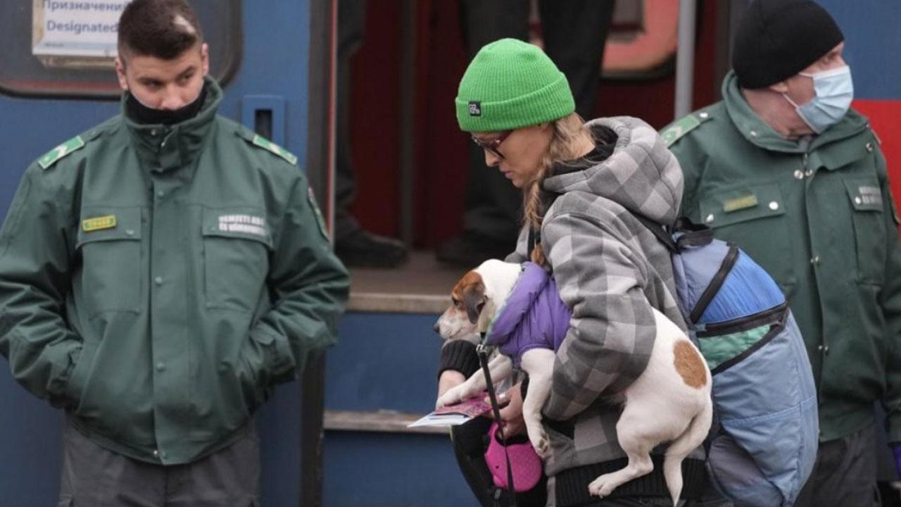 同在戰火的天空下