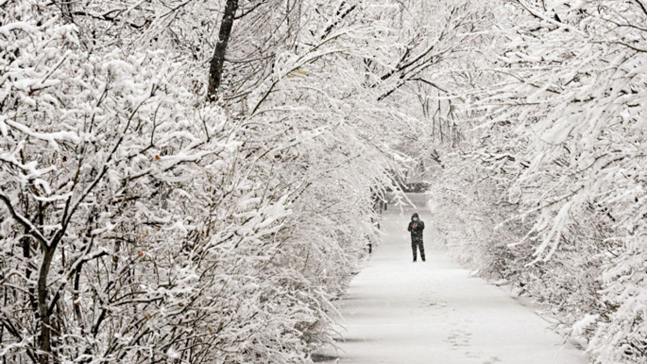 圖片新聞｜降溫