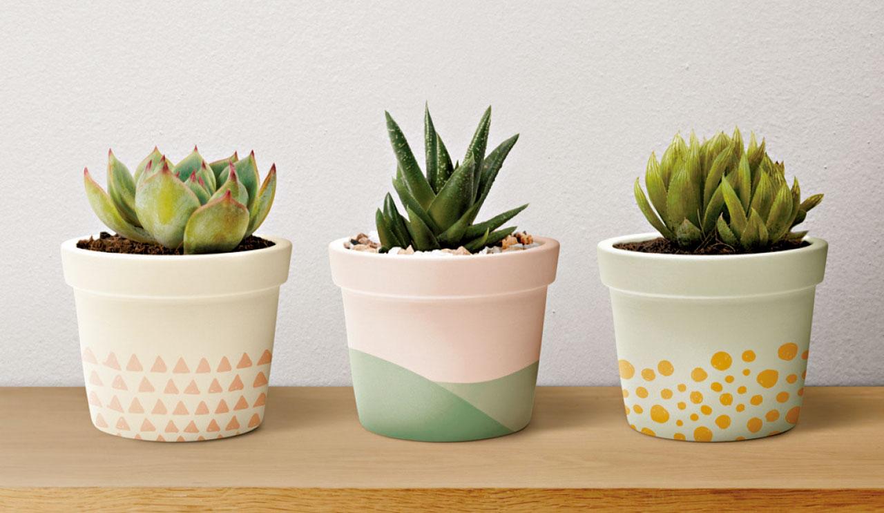 疫下家庭專輯｜多看「綠色」 可護眼？