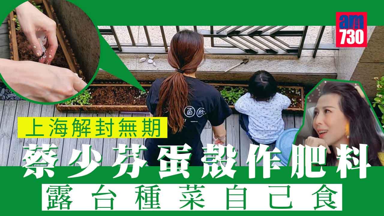 上海封控｜解封無期 張晉晒蔡少芬露台種菜