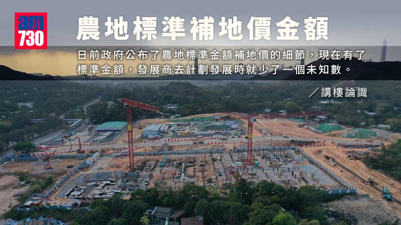 農地標準補地價金額