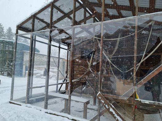 動物園設施被炸毀。(互聯網)