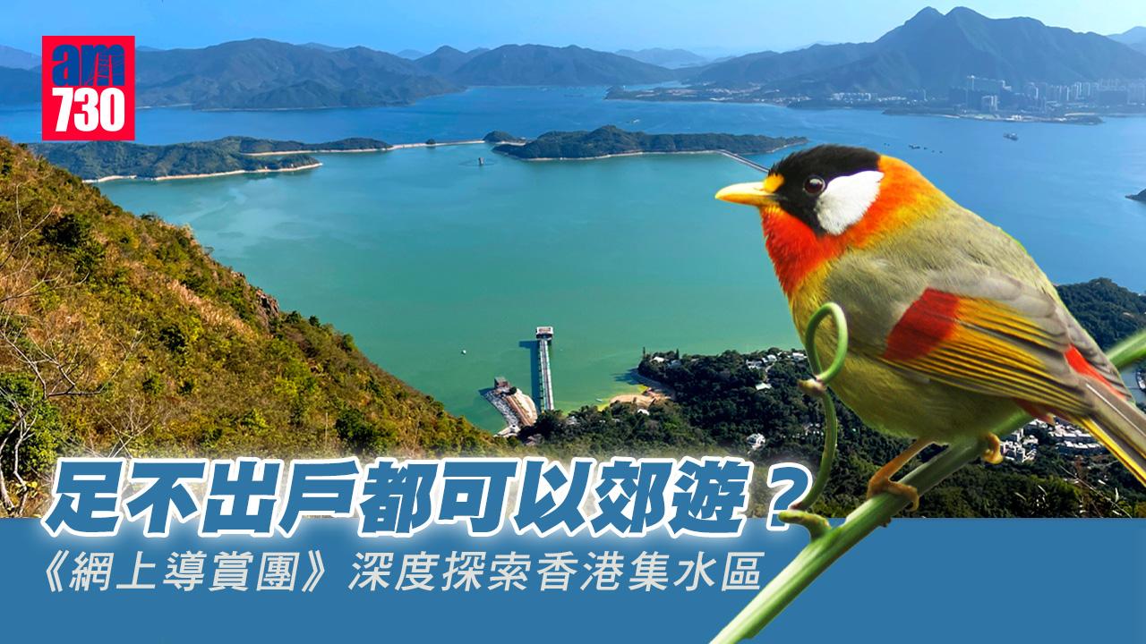 在家郊遊｜綠色力量辦《網上導賞團》 深度探索3大集水區