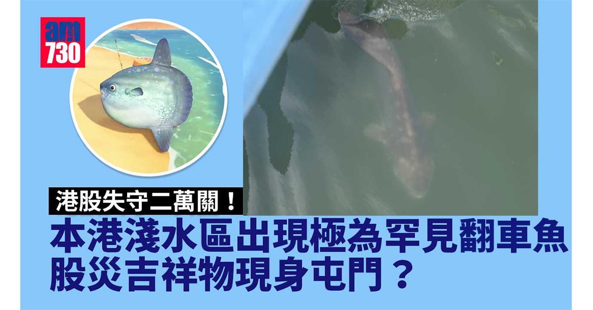 港股收市｜股災吉祥物現身屯門？港股曾挫854點
