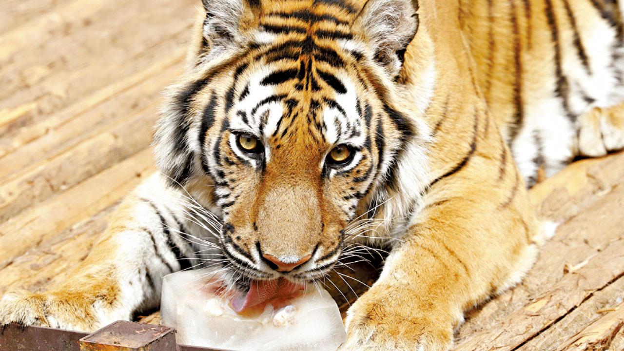 圖片新聞: 初夏