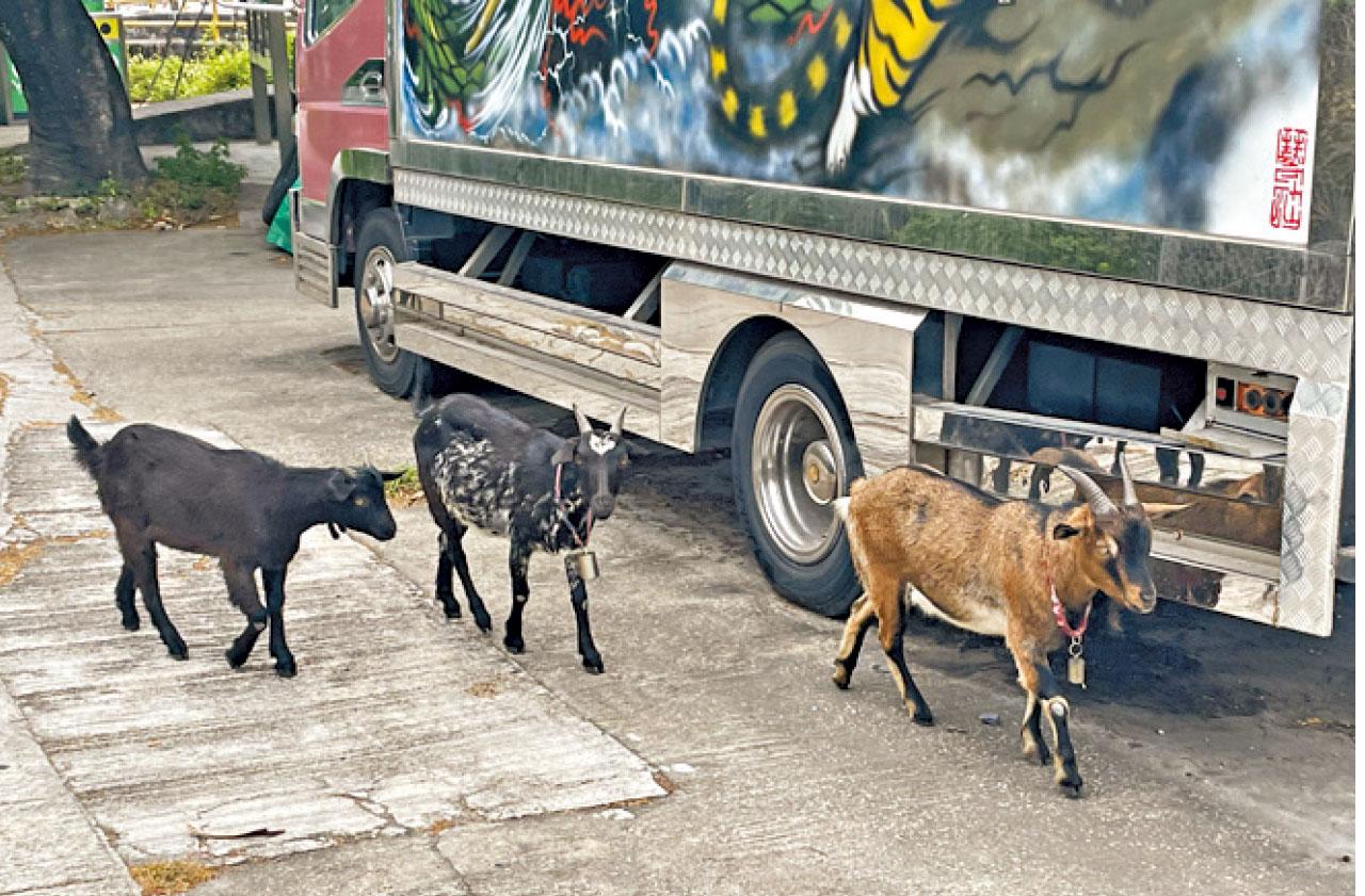 要每個細胞都復活