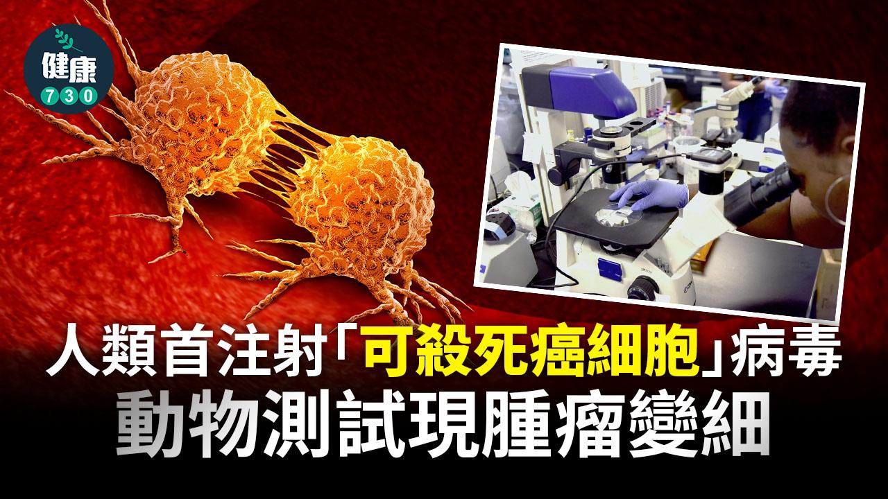 人類首注射「殺癌」病毒 動物測試腫瘤現萎縮