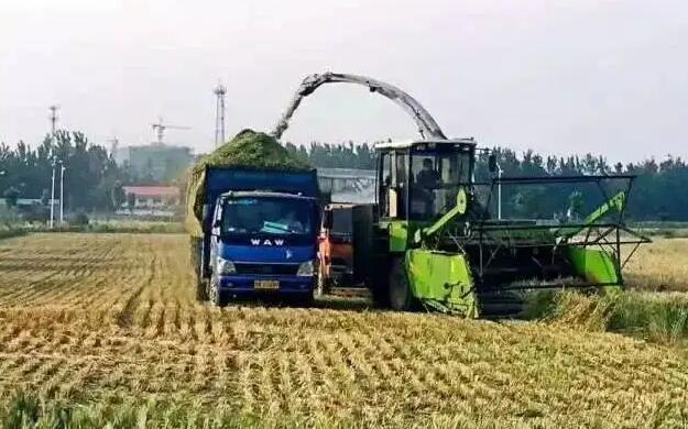 中央近日加碼補貼農民。(互聯網)