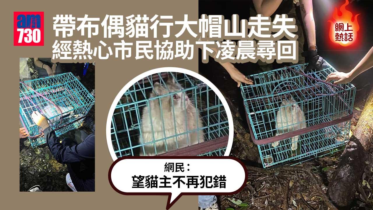 網上熱話｜布偶貓大帽山走失凌晨尋回-貓主1萬元捐動物組織