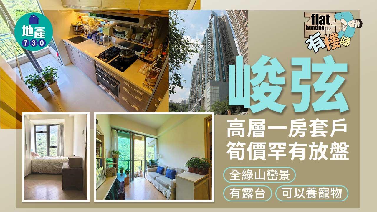 有樓睇｜全綠山巒景 峻弦高層一房套戶筍價罕放（多圖）