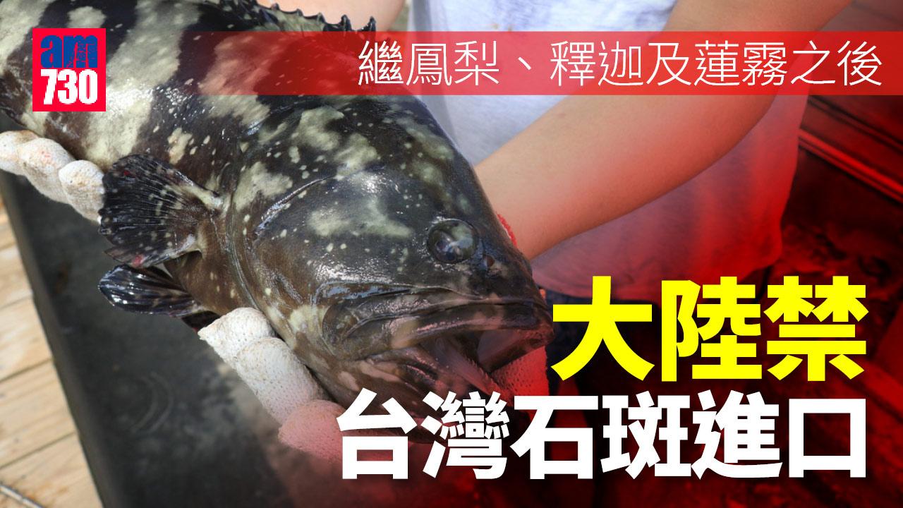 大陸今起禁台灣石斑進口 去年已禁鳳梨、釋迦及蓮霧