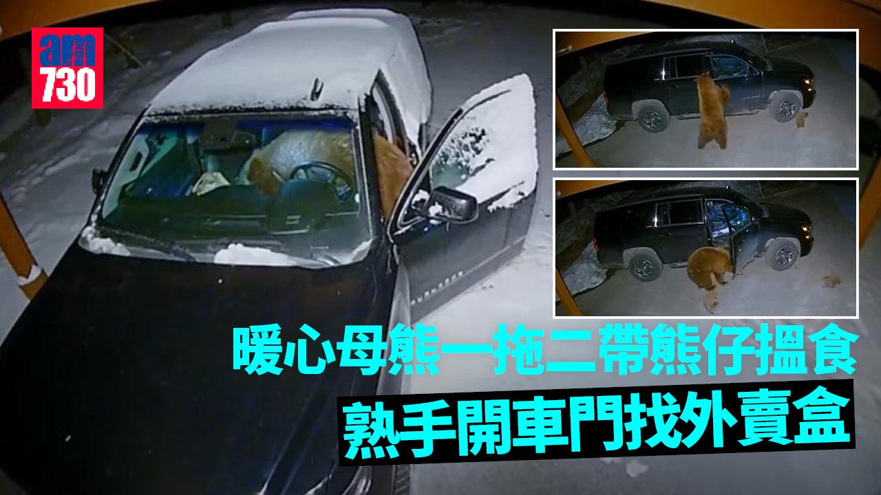 暖心母熊一拖二帶熊仔搵食 熟手開車門找外賣盒(有片)