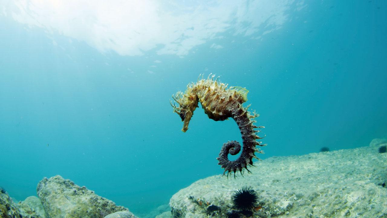 好爸爸與壞爸爸