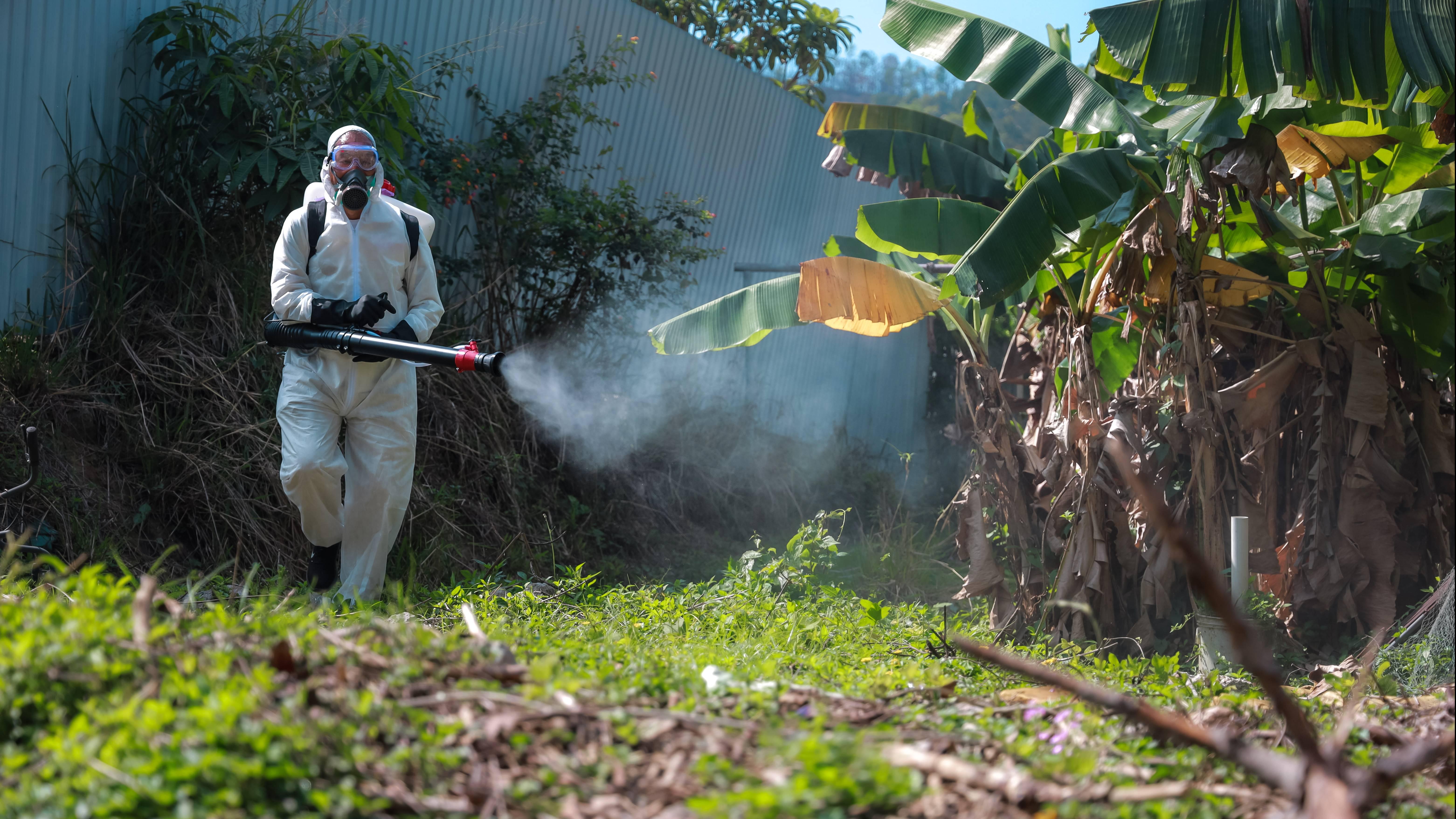蚊患指數6月急升　上水達逾55%最嚴重　掃管笏激增近4倍