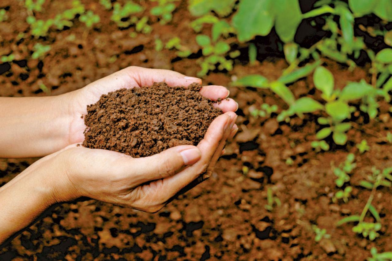 五行對應之顏色及性格——戊土