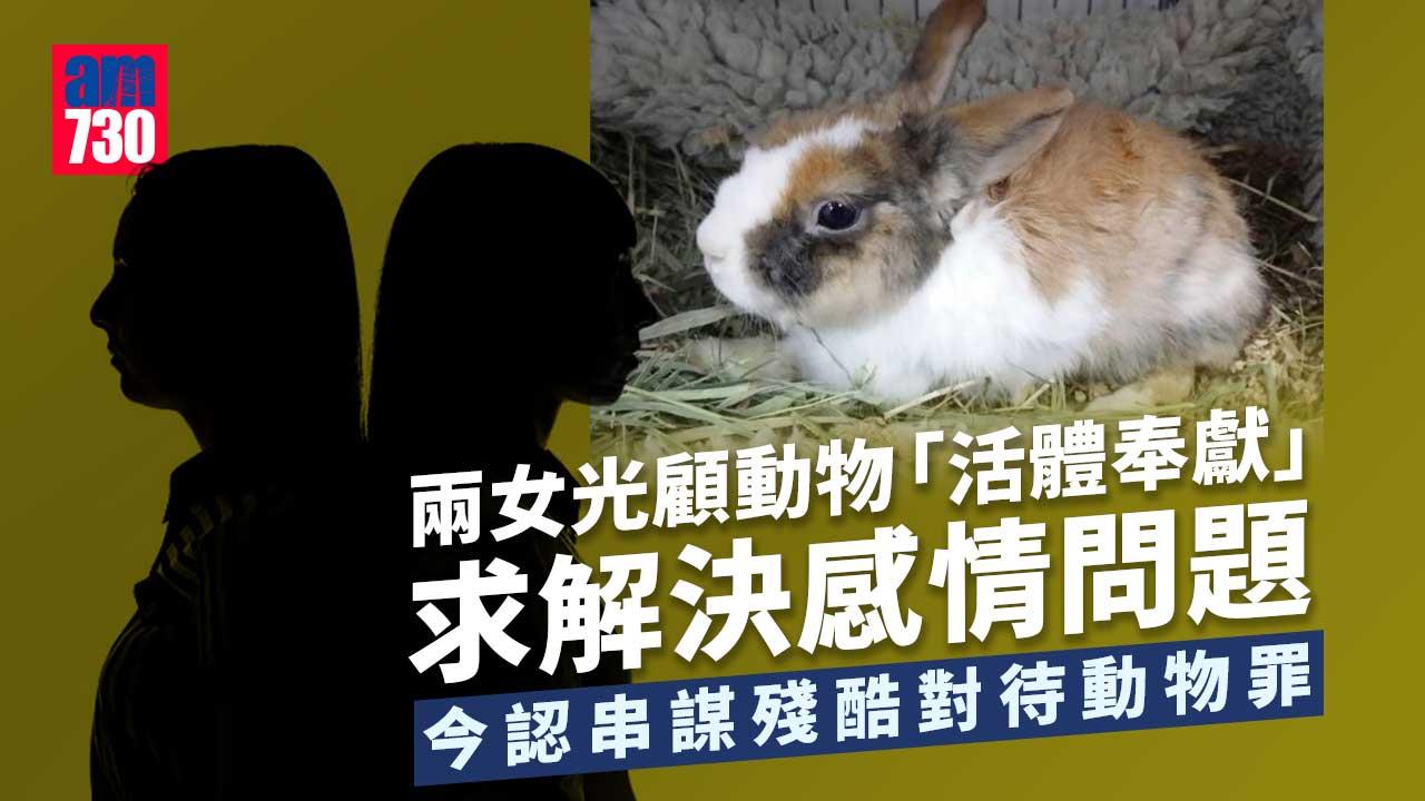 光顧「活體奉獻」求分手復合 兩女子認串謀殘酷對待動物8月判刑