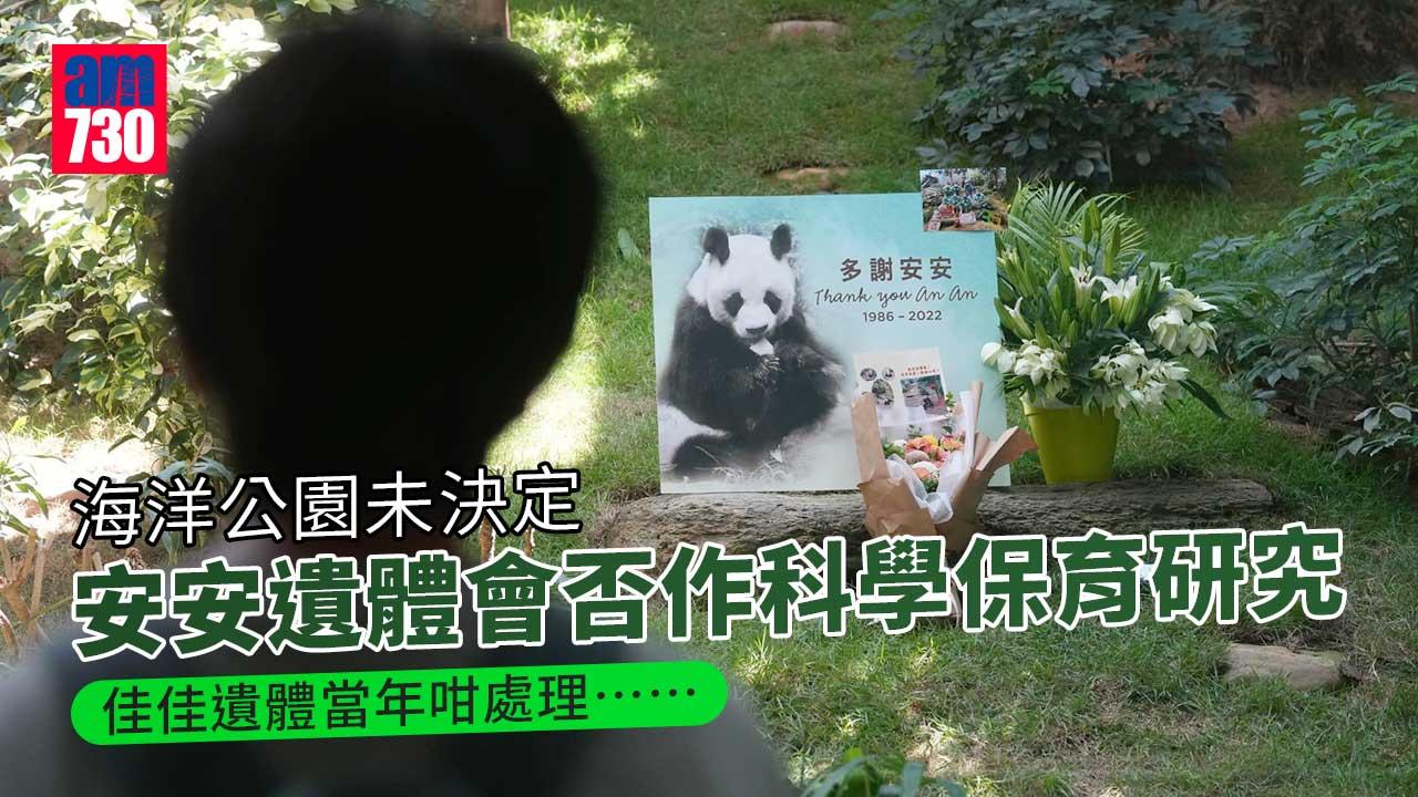 安安離世｜遺體作科學保育研究？海洋公園：待決定後公布