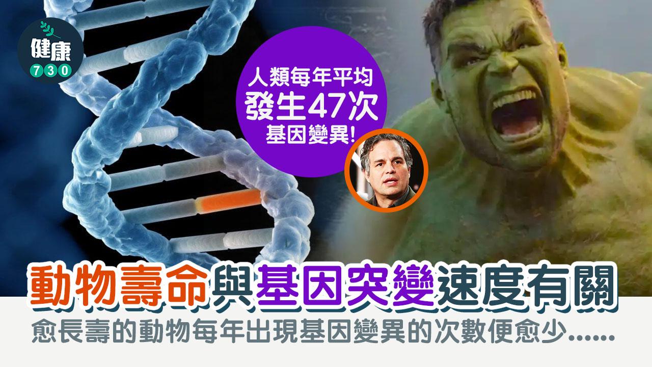 基因變異速度決定動物壽命的長短？