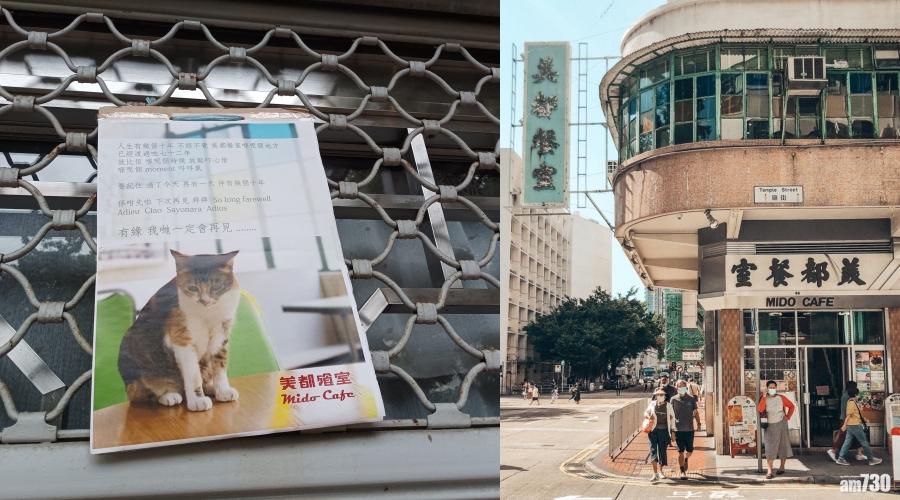美都餐室再度停業 門口落閘貼貓貓通告「係咁先啦，下次再見」