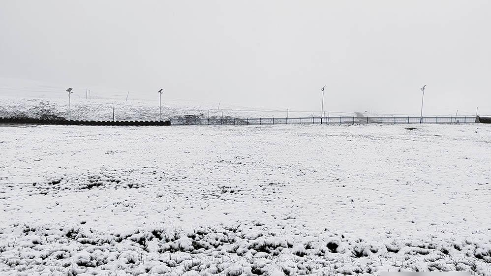 青海天峻縣罕有在三伏天落雪。(互聯網)