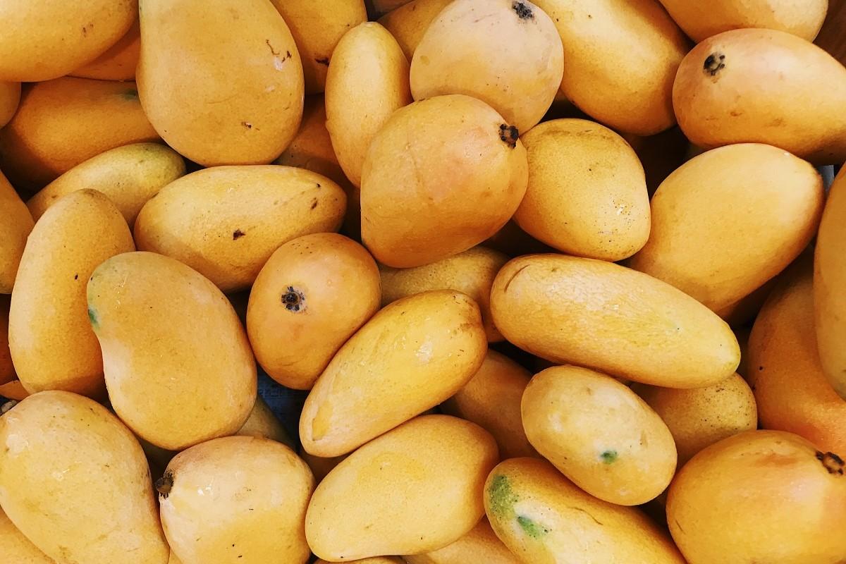 本港食安中心驗出一批進口芒果表面，帶有新型冠狀病毒。(Pexels圖片)