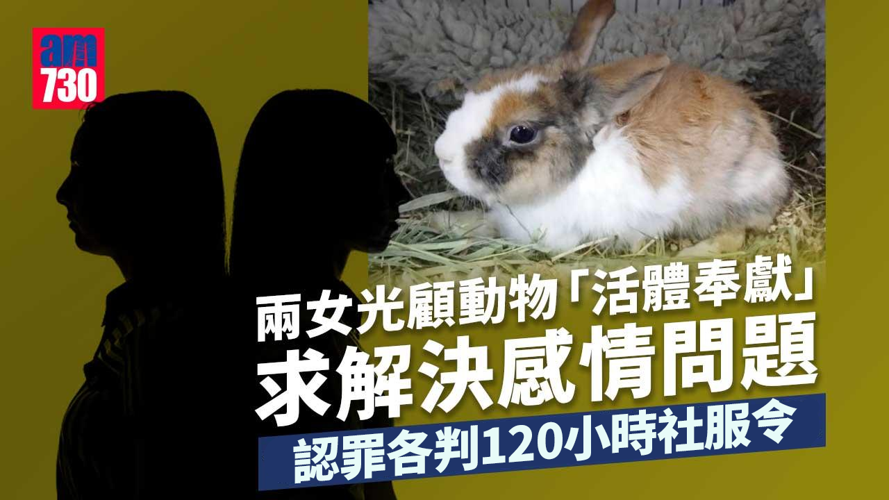 光顧「動物活體奉獻」求分手復合 兩女認罪各判120小時社服令