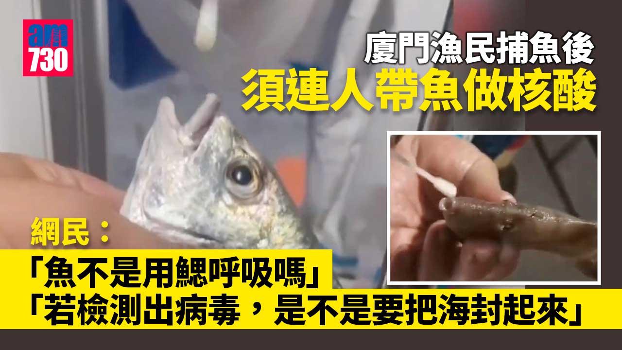 疫情｜廈門漁民捕魚後須連人帶魚做核酸 網民：魚不是用鰓呼吸嗎