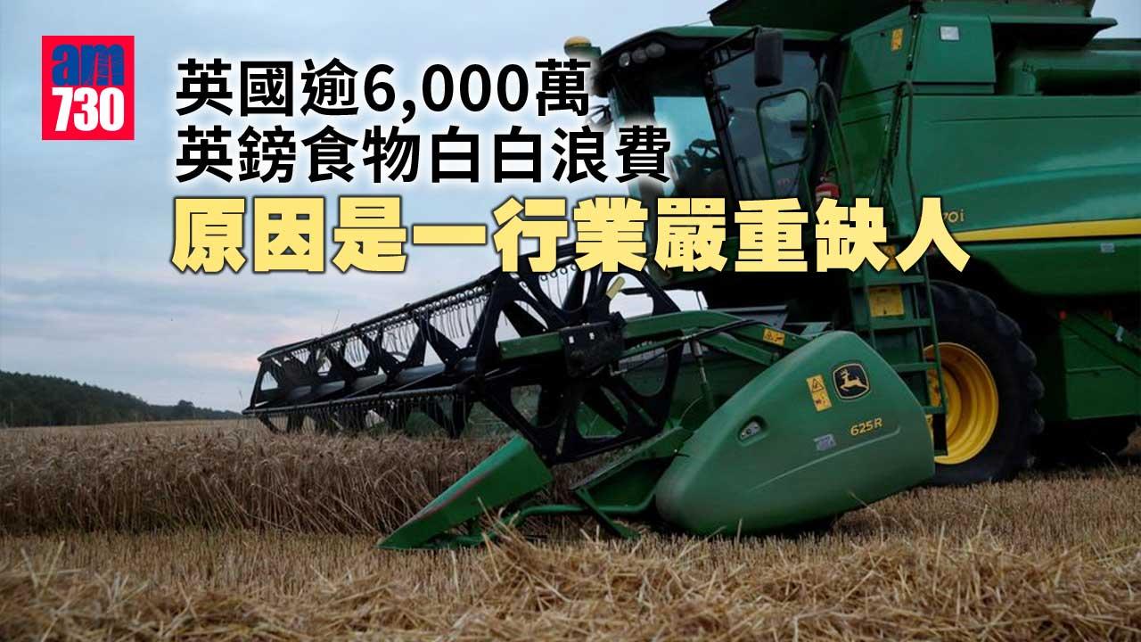 英國搵工｜一行業「有工無人做」老闆見財化水兼浪費資源