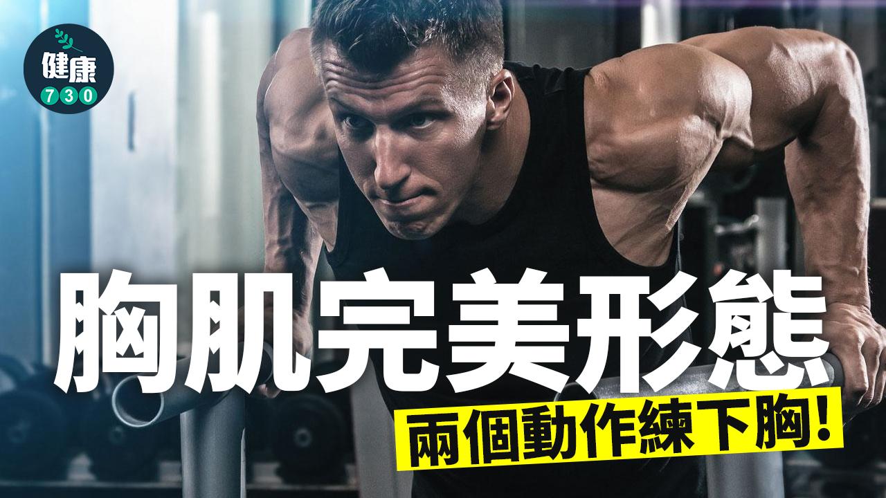 胸肌完美形態 下胸點樣練？