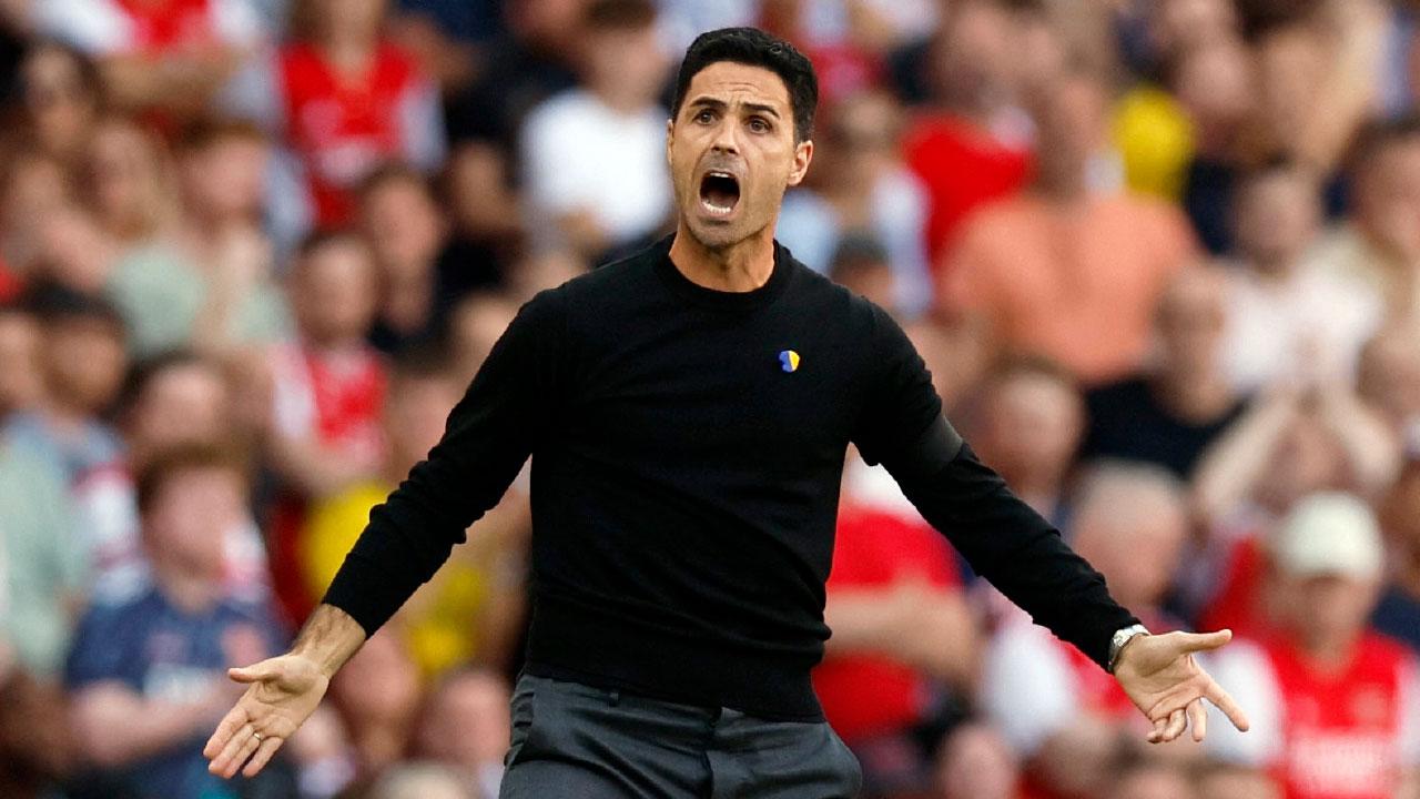 《孤注一擲》的未來報告