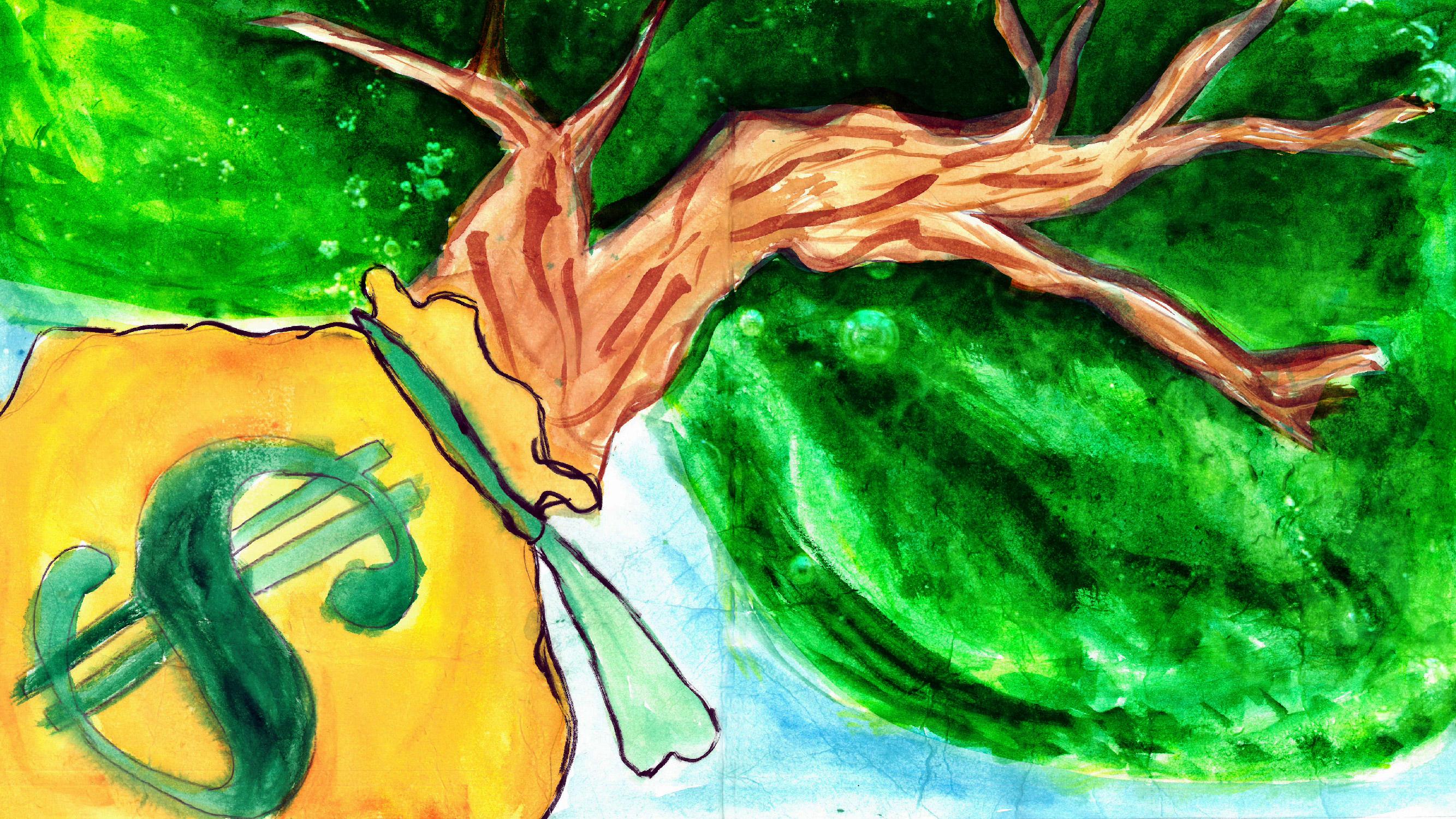 來源：廠商會蔡章閣中學 4B 古雅士 GURUNG Aashis同學 題目：碳機遇-碳怎樣變成資產