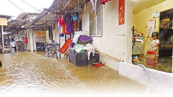 洪水橋鐵皮屋起火消防救出寵物龜　火警起因有可疑