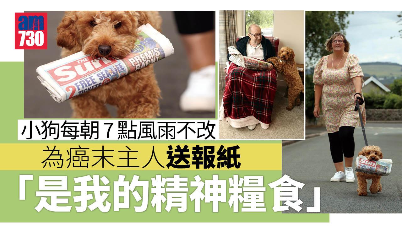 小狗每朝7點為癌末主人送報紙