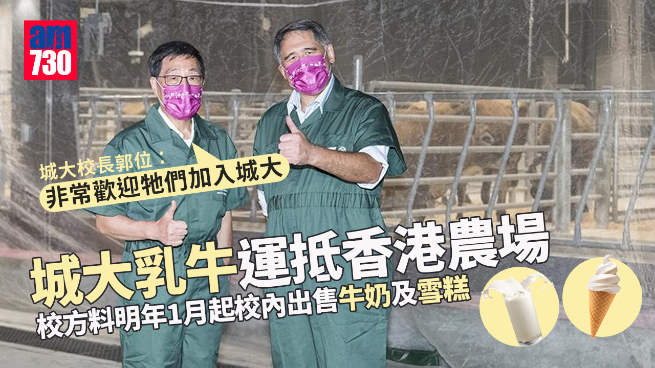 城大乳牛運抵香港農場　校方料明年1月起校內出售牛奶及雪糕