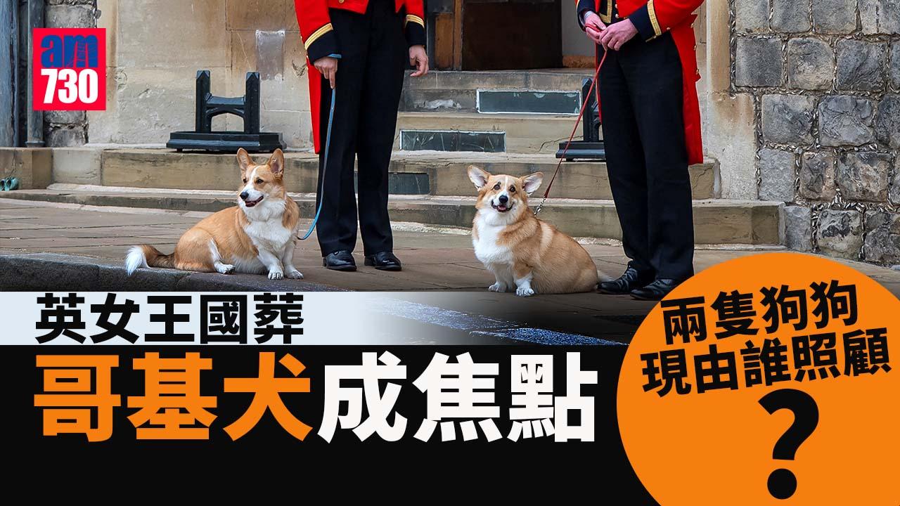 英女王國葬｜女王哥基犬與小馬送主人最後一程(多圖)