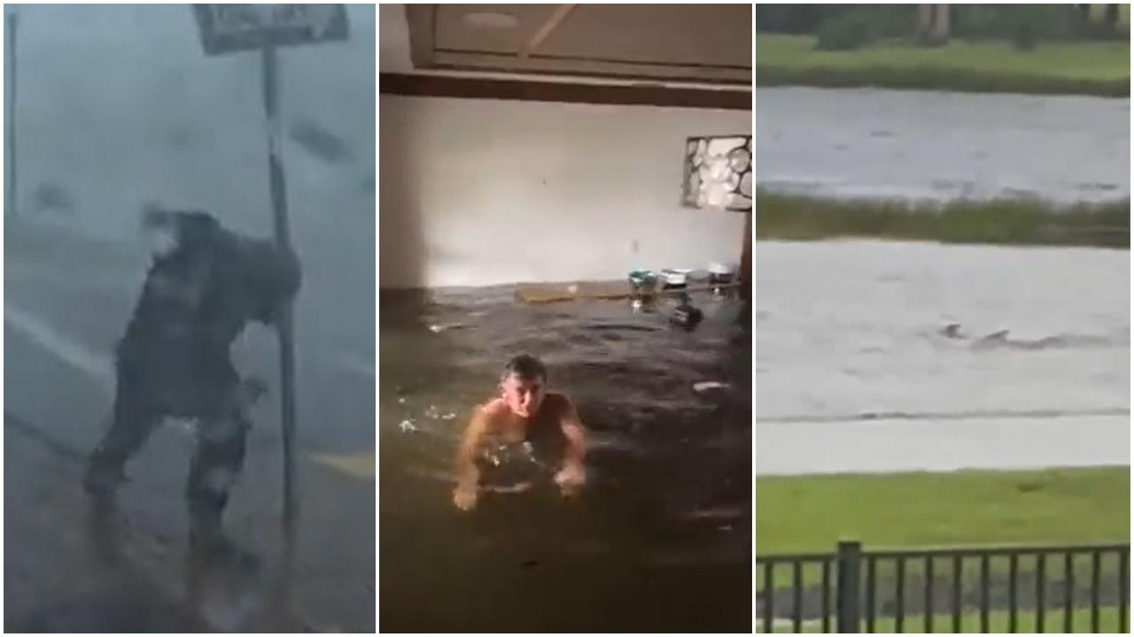 颶風襲佛州，馬路驚見鯊魚，居民室內游水。(Twitter)