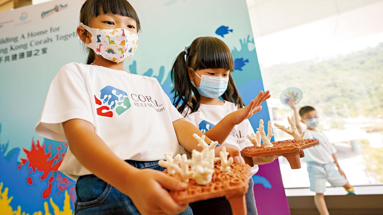 赤陶製「珊瑚礁盤」供依附 盼重建20方米珊瑚礁