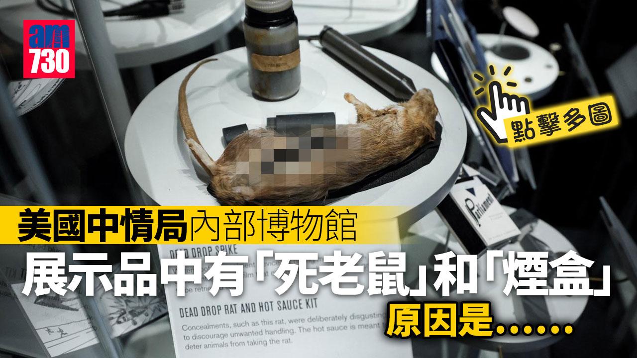 美國中情局內部博物館揭秘 展出冷戰蒐集情報工具 究竟挖空內臟老鼠點用？(多圖)