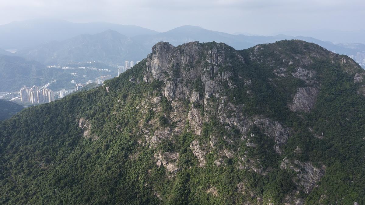 一名婦人食用由獅子山行山人士給予的野生菇類後，懷疑食物中毒。(資料圖片／陳奕釗攝)