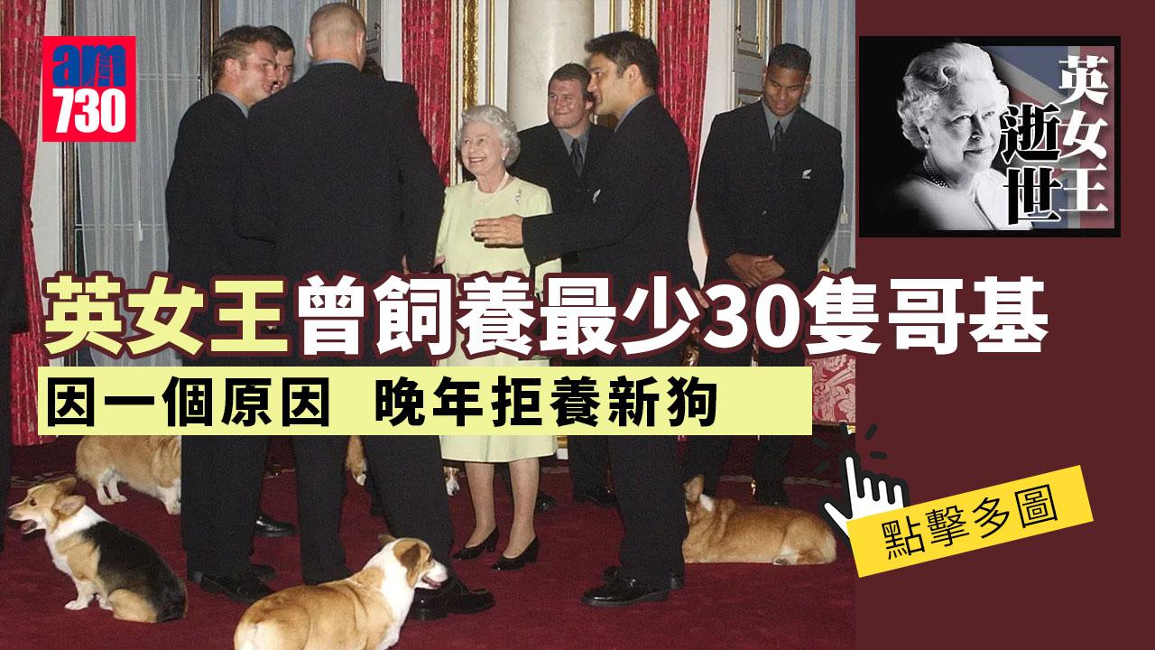 英女王逝世｜遺4愛犬求認養 女王晚年拒養新狗 出於一片苦心