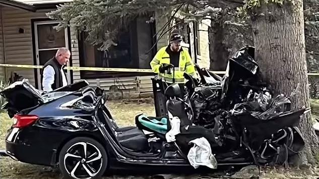 私家車撞樹，車上6人全部死亡。(互聯網)