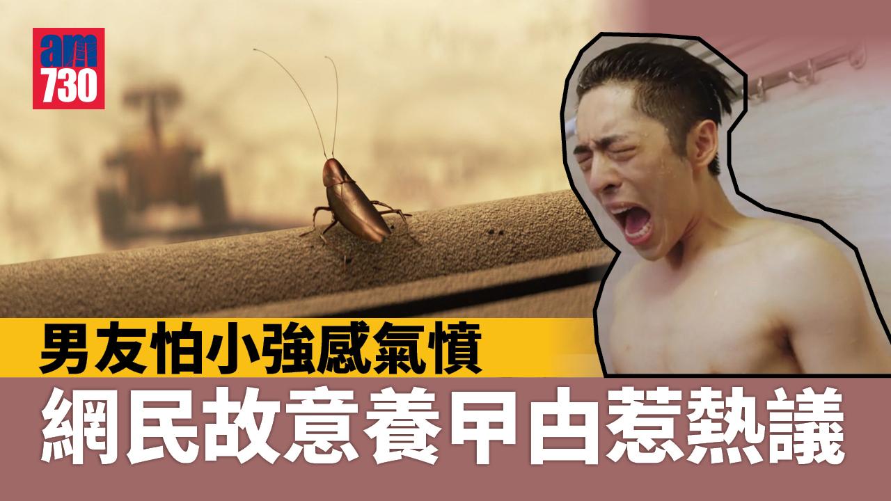 網民怒轟男友：不敢打曱甴 不配做男人